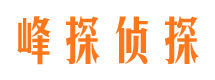 芦淞外遇出轨调查取证